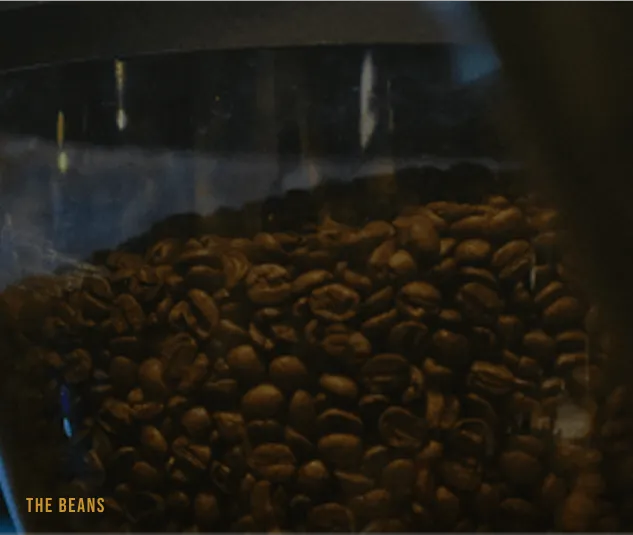 The Beans